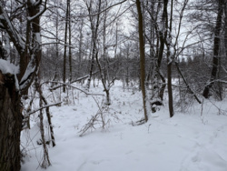 d4145b30-98ff-4078-88f9-8d2bc802bd2e