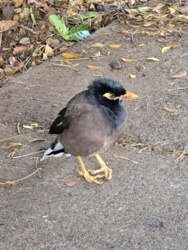 8ccdf860-fa9d-48c4-be86-b83386d158a7