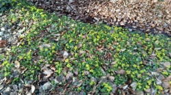 4bcab5cb-dc1c-44ad-8333-96c0b78f2e9f