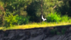 4dda60ed-08e2-4c6d-82d2-4434989ff65f