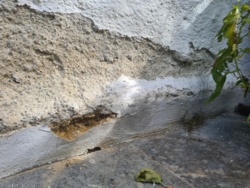 2f71b647-9e65-40be-85c0-fcecca8b524b