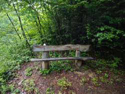 ecf98bc0-ebe9-40f1-815b-cc0df86fc98f