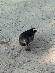 f263d3da-0acb-44ab-8880-6cadf3934631