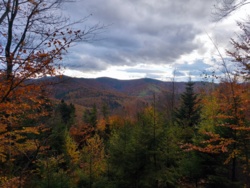 6af11fd8-13cd-4dc8-b700-48f5759b2f8a