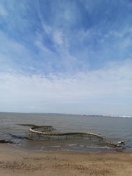 4570b279-406a-4e19-b9c4-81efaf158b04