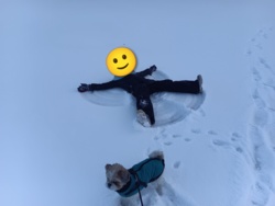 d59e83b2-34cd-4414-bc62-6936e31ad55c