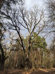 fadc742a-4d3c-465b-8c41-78e7ed652bfe