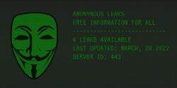 Anonymous Leaks - powstała strona, która zgromadzi dane wykradzione przez kolektyw hackerski