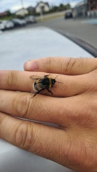 2cf00ce6-79f4-4cec-a395-78fa87ecb038