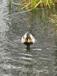 3a4d981b-ff59-495e-a84f-0309c958e198