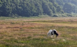 8136b76c-0f8d-40ba-aa81-bb4bad77e0a1