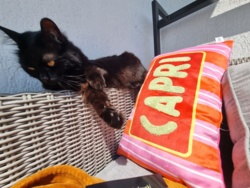 cf1aee5b-6e04-4c26-8f4c-0d13a1014704