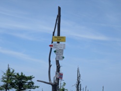 fecc22ba-5d91-49b9-a951-2880a7877a23