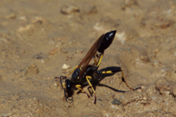 8d6f04ab-5159-4586-b7a5-42295685647d