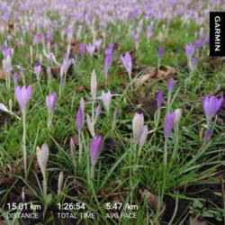 69aad3d0-6450-4d4c-8bbb-9600bb1fe30e