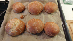 003245f8-8d01-474f-b3e5-0521b7ed088f