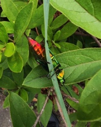 103b6e51-0131-4c04-bbce-0bbae01bcd1c