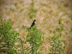 d2b8f3b3-7638-4dc6-9013-18785152e01d