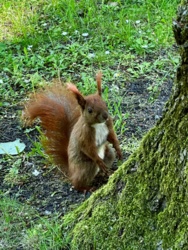 107d5b02-5cbe-4a77-9daf-e959230fd779