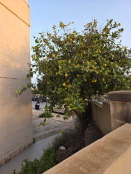 5b0698ce-aa75-4ad3-a606-762ee493ad5f