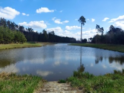 43d19fd1-d795-4135-8f8f-249f71921993