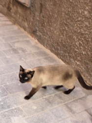 04541c12-448c-4d83-b904-0866a3db4aea