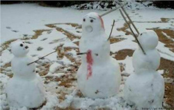 40ab586d-2956-45dd-81f0-832ccb3fabfb