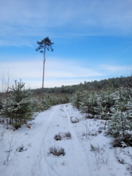 bd91a239-abb1-424f-94da-b6abfebf0450