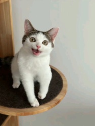 095a301e-0a76-4c34-8d4e-50c7729d7013