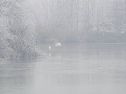 0a2eb9cd-2502-4d1f-ba6e-3e54c36403d5