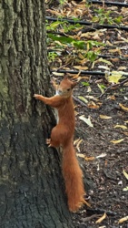 97013ccc-3601-47ee-9be5-b03e601d8431