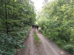 a45c1d49-f954-4c4d-ad85-bd5ef95104ac