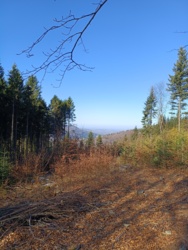 35fbcea5-60ff-46f4-96a2-e9730fc5c75a