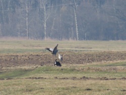 b0d27346-7455-4649-bc89-83155a6b3cfa