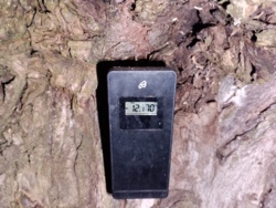 2eb98055-ec10-45bd-8780-79d7ebedff69