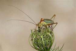 f6277ddf-04ec-4fe2-aaa6-587128f06474