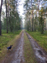 c139d40a-c85e-44d0-a1c3-7ed73a362d2a