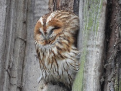 48882294-3bb1-4004-8bf4-2ceea5a176c8