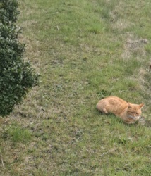 5d57ade1-9ad7-47bb-b875-593cdebe4db3