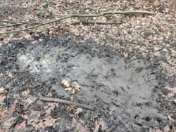 9c0c3528-0de8-43f3-8a58-f5f15fe4f9cf