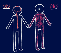 f3c0db05-778b-4642-90be-83dc9d107fc5