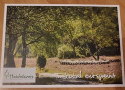 2e67d5c3-57ba-4dbf-a792-a9c0fa829342