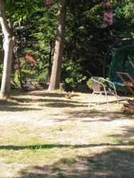 ea5c806a-1ea4-47a0-a2f6-7c31266bfb00