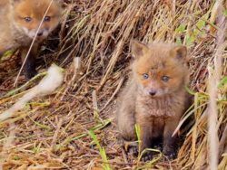 93217aad-3563-45ba-b9ff-8b19e86bfcac