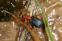 2fdd2f2f-dccb-4e44-9826-7b6e2bcd9ea3