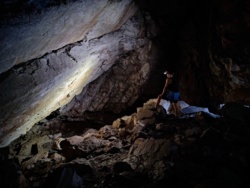 7633591d-7a5f-4dbe-a6a8-71b6d5cdb0da