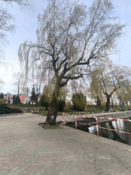 c6141657-00cd-4a02-81a1-ea1dcd7cadcb