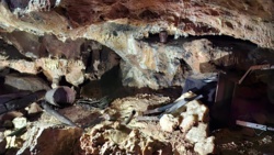 61d5cbfc-b27e-4f51-8664-485366e571d3