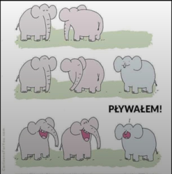 3f6d7294-c911-498c-b3ec-c4500014944e