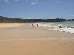 53a59610-4f78-40dd-be77-942ba590348e